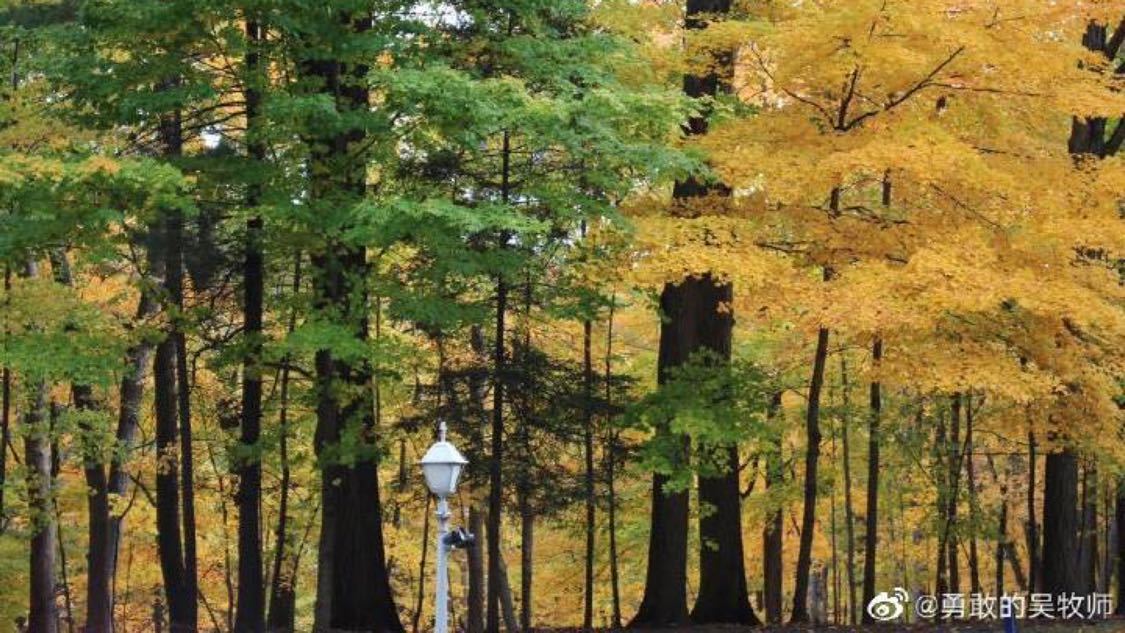 抖音一元3000播放网店